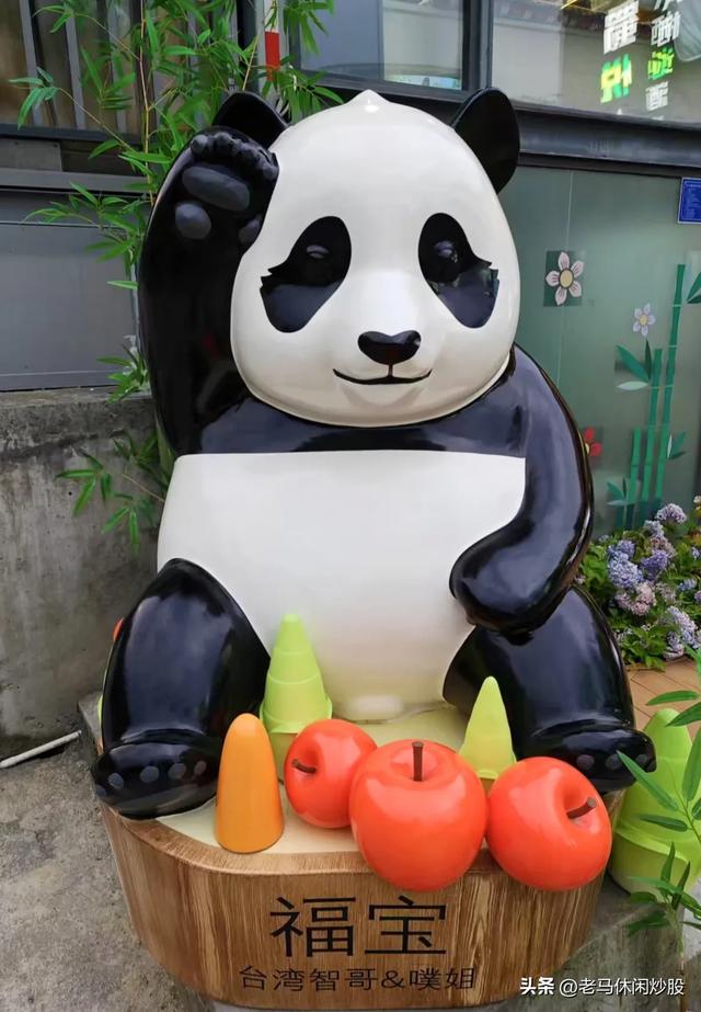 我带着相机，在耿达避暑