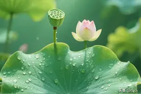 女人是不是贤妻，一看便知：贤惠的妻子，多半都有这6个特征图片