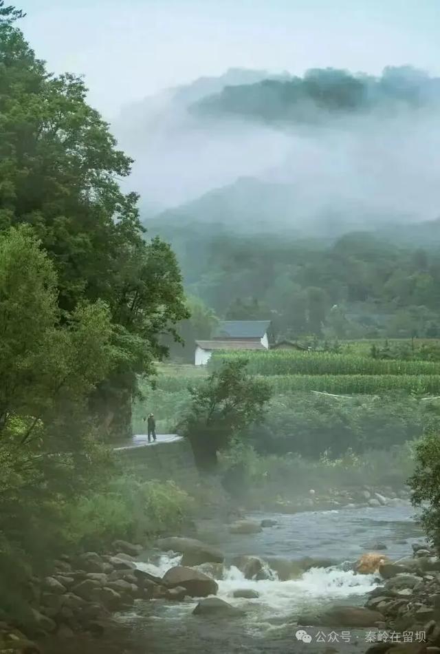 当秋雨掠过秦岭的山脊,汉中悄悄美成写意水墨画
