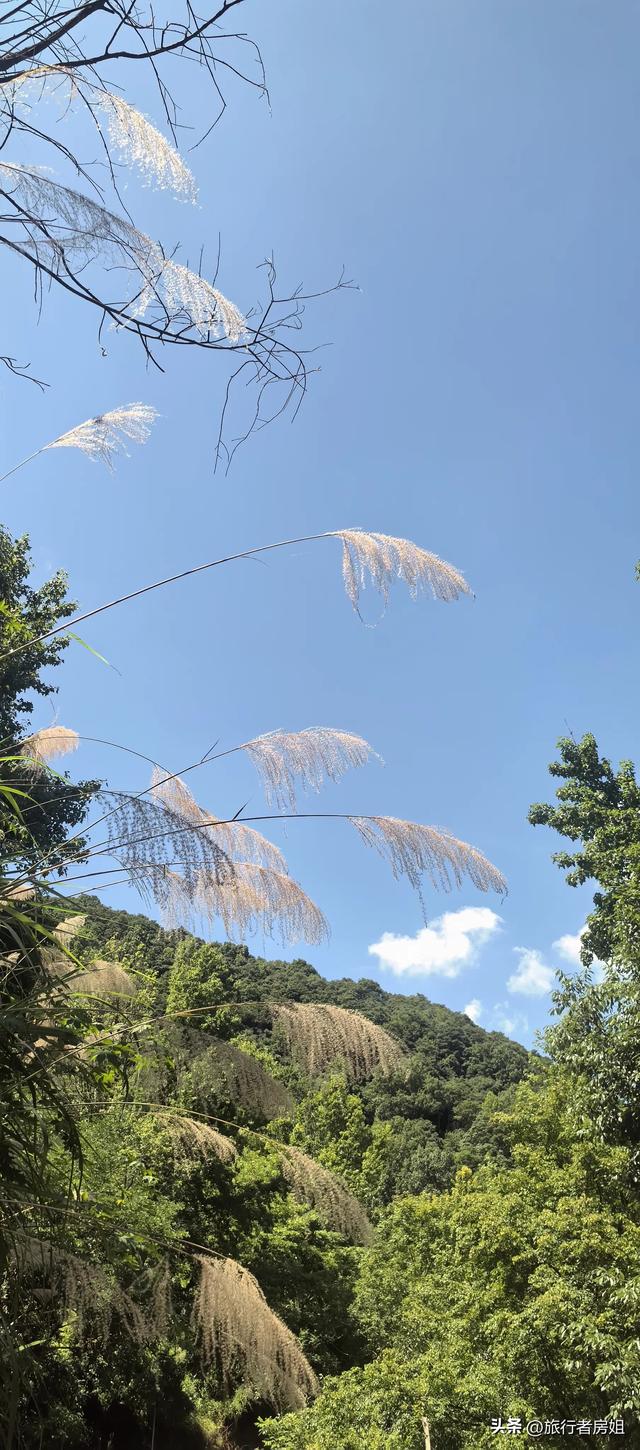 真没想到，在四明山古村深处还隐藏着这样一处水库