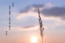 衔接班补课，就是一个坑图片