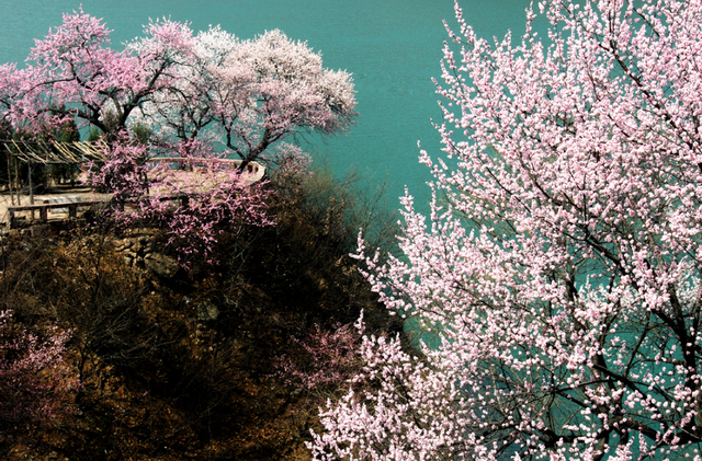 走，去河南山野里“撒个欢”！