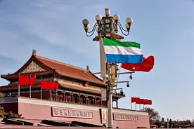 塞拉利昂总统访华！非洲国家为何如此青睐中国？图片