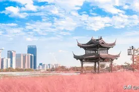 部队医院的历史演变（七）图片