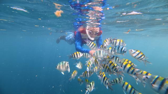 印尼龙目岛第5天：浮潜南部三岛，回程大浪船损，有惊有险