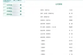 国网山东工商信息变更 原总经理钱平已经退出管理层图片