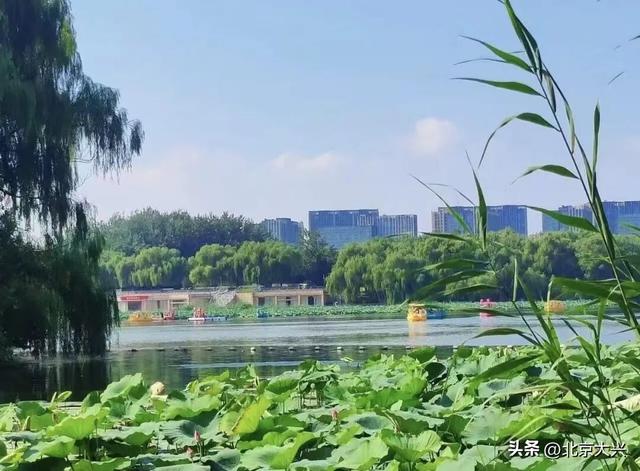 秋天来大兴！这波彩色 “多巴胺” 直接美到“心巴”上——