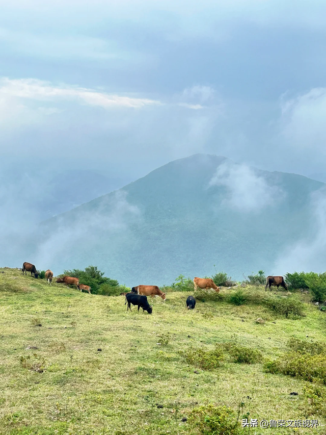 隐匿在广东的冬日秘境：恩平，一座20℃暖冬里的温柔小城