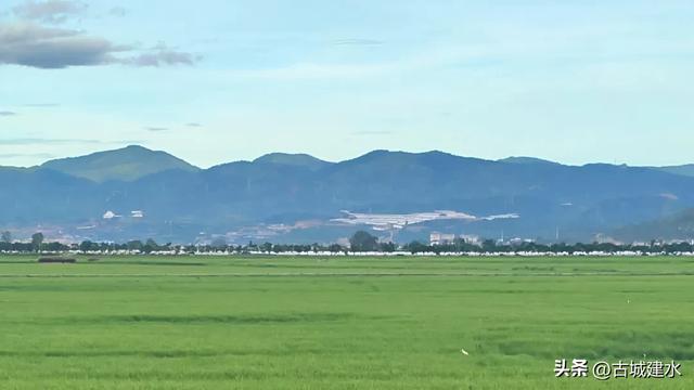 来稻田公园，赴一场与自然的温柔邂逅