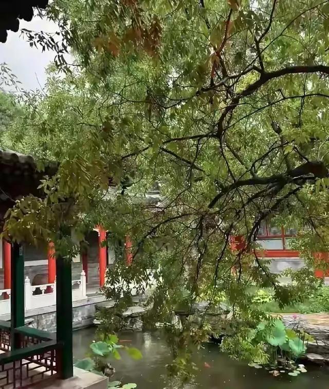 李湘在平台晒自家北京小院，大到让网友以为是景区，真的太有钱了