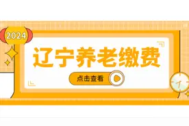 辽宁公布2024年灵活就业人员缴费档次！标准是多少，怎么选？图片