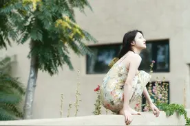 迷城之后是迷宫，《异兽迷城》作者彭湃番茄上新开启生死迷宫图片