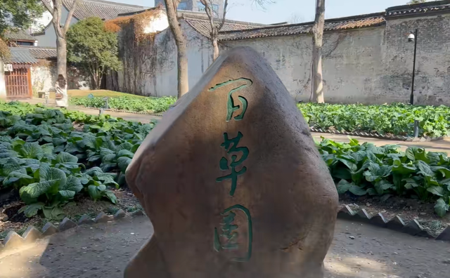 避开人潮，清明小长假去绍兴，体验鲁迅笔下的江南水乡