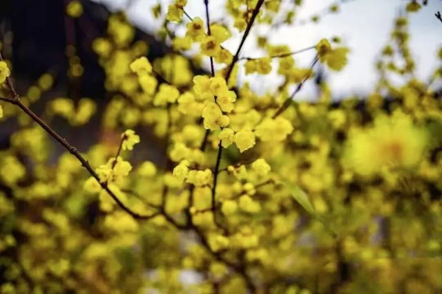 泰湖之美，不止四季！