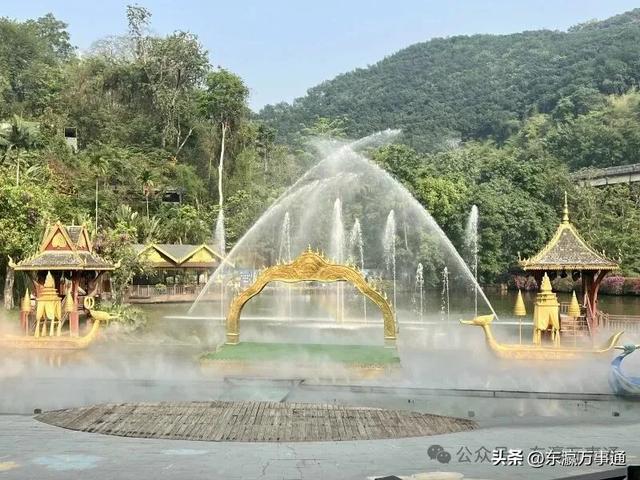 华媒走进西双版纳原始森林公园:看孔雀飞舞 访爱伲山寨 探原始森林