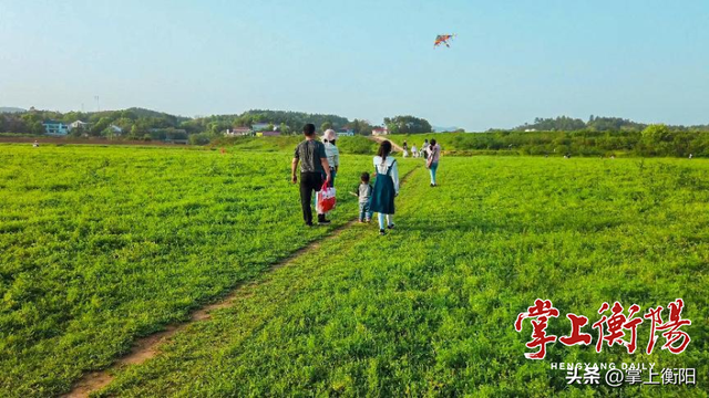 衡阳春日限定！收好这份踏青赏花打卡攻略~