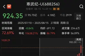 爆炒还是补涨，寒武纪缘何逼近千元每股？图片