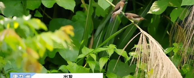 广东小众避暑胜地在这！和唐九洲一起征服“秋名山”