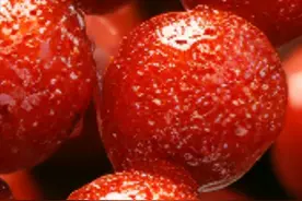 论糖葫芦的起源与文化传承图片