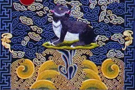 不管有钱没钱，这几种动物出现在家里，不要驱赶，说明好运要来了图片