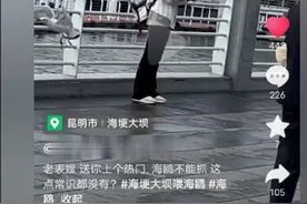 这位姐姐，说了八百次！海鸥不能抓！图片