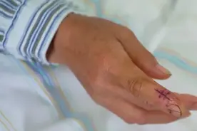 当心“蛇出没”！被毒蛇咬伤怎么办？自救方法请收好→图片