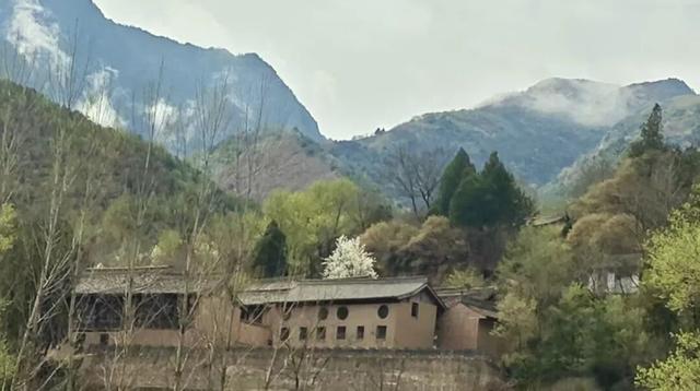 徽县麻沿河镇：暮春盛景惹人醉