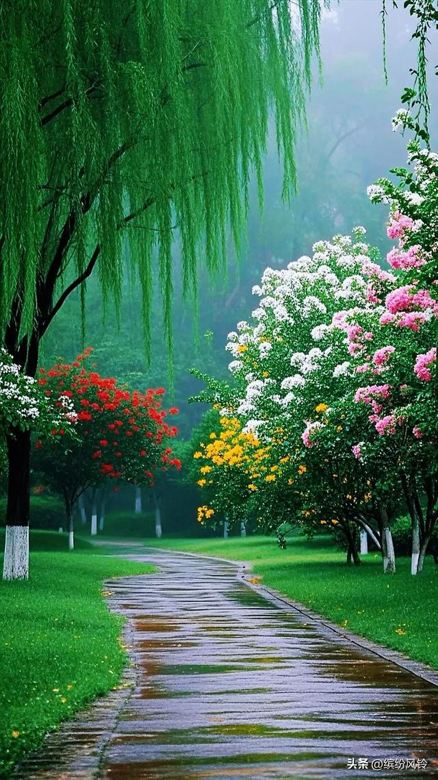 雨落芳华，打湿青石板路