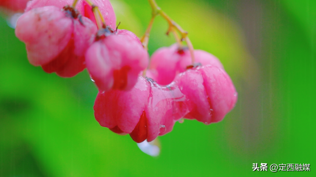 在卧龙湾水镇，听一场秋天的雨~