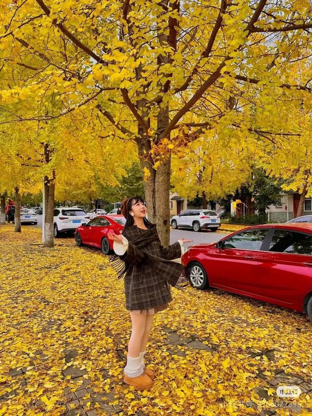 周末出国！高铁20min直达最美异域小城！风光极致美食无敌，入秋满城银杏美哭！