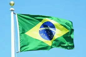 巴西是个怎样的国家？明明是粮食出口大国，却3000多万人吃不上饭图片