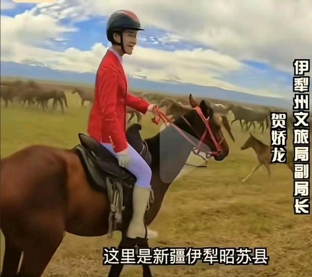 贺娇龙好友曝事发细节	，养马人：掉马最怕脚被套牢，网友提醒成真