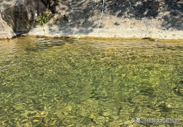 秋日赏玩来浙江“限免”4A景区吧，95%的森林覆盖率，超惊艳！