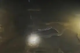 蛟龙困浅滩？福建男子夜钓发现溪鳗群！网友：一斤七八百还买不到图片