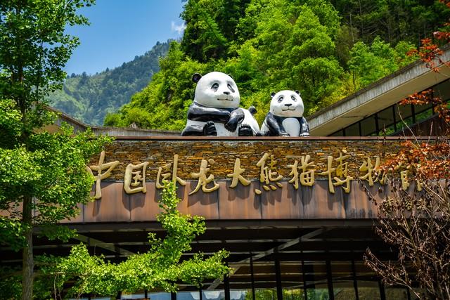 东边邻国马上看不到，国人真有福！几个能看熊猫的景点赶紧去打卡
