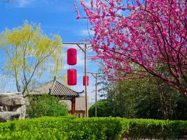 上春山！海淀这座山又到了最美的时候