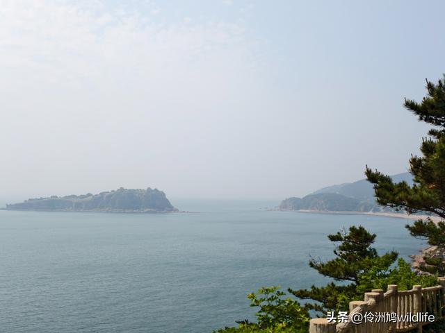 大连海之韵公园·棒槌岛
