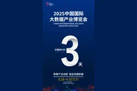 2025数博会开幕倒计时3天图片