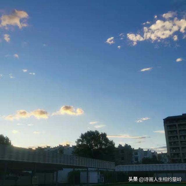 被誉为“最美乡村”的婺源，游客来了之后真的会后悔吗？