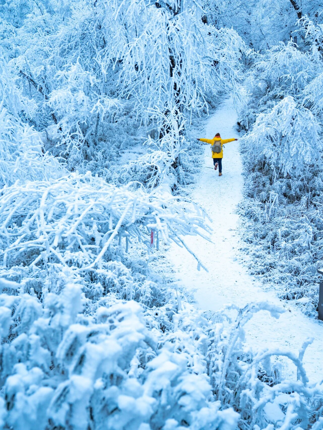 【雪景预告】看雪不必出远门！雅安的冬天超超超美！