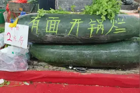 青岛海泊河早市图片