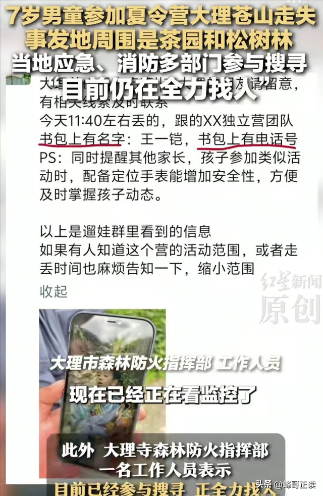 苍山自闭症男孩失联已3天：恶心一幕出现，更多人被无端质疑！