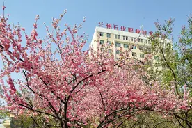 580分放弃985，扭头报考兰州石化，是人间清醒，还是一时糊涂？图片