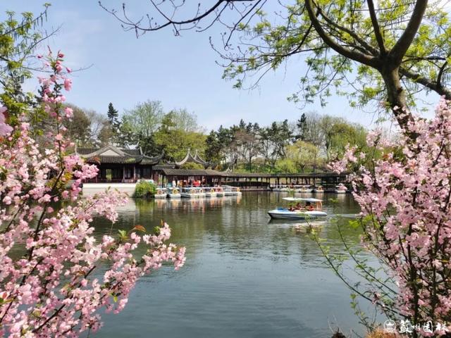 108 处点位！苏州海棠赏花地图出炉