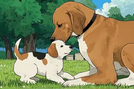 新手必看！幼犬出生后的6个月里，它会经历哪些变化？图片