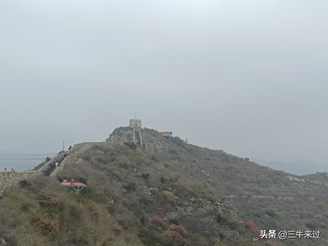 无为在歧路，柿岩之红叶