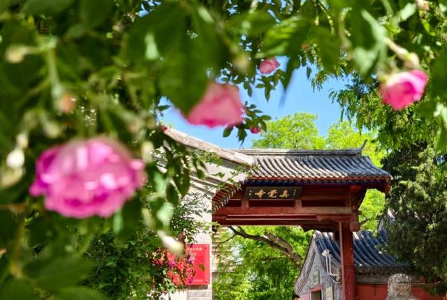 今天，北京百余家博物馆开放不闭馆，免门票！