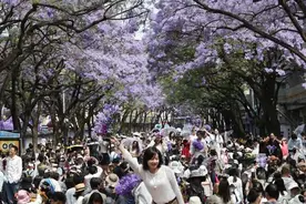 3.14亿人次！昆明最热门景区出炉图片