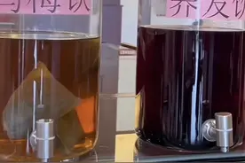 养发、降脂、护肝、助眠，“新中式”养生，从一杯中药茶饮开始！图片