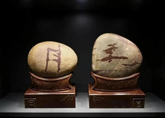 南阳世界级月季盛会 + 首届石博会双展联动，免费逛遍全城花海！